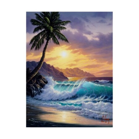 Trademark Fine Art Anthony Casay 'Sunset Coast 7' Canvas Art, 18x24 ALI20407-C1824GG